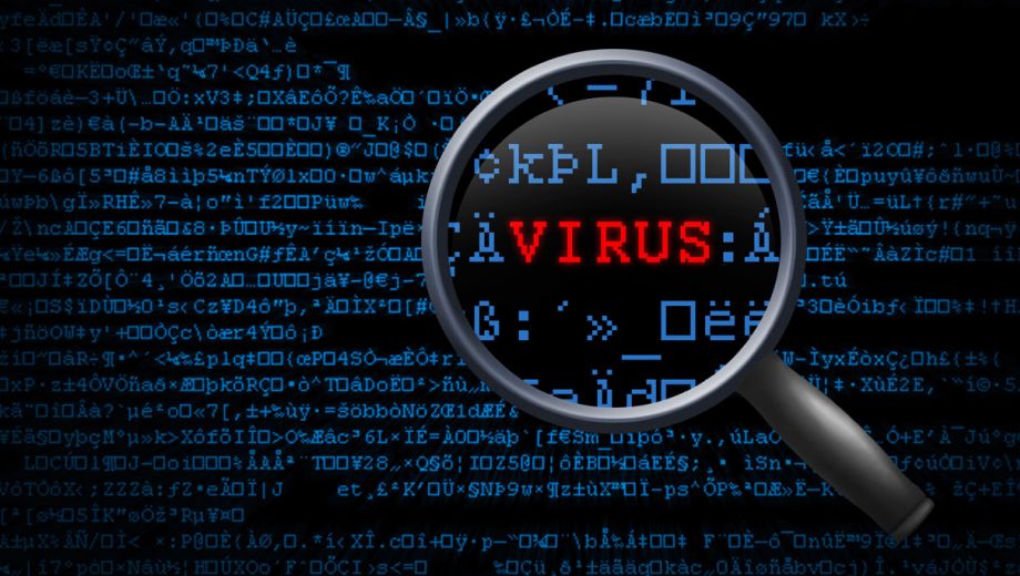 pcvirus2
